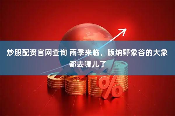 炒股配资官网查询 雨季来临，版纳野象谷的大象都去哪儿了